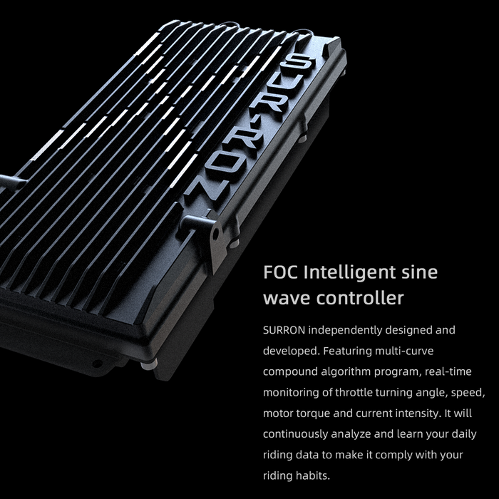 Sur-Ron Light Bee X 2025