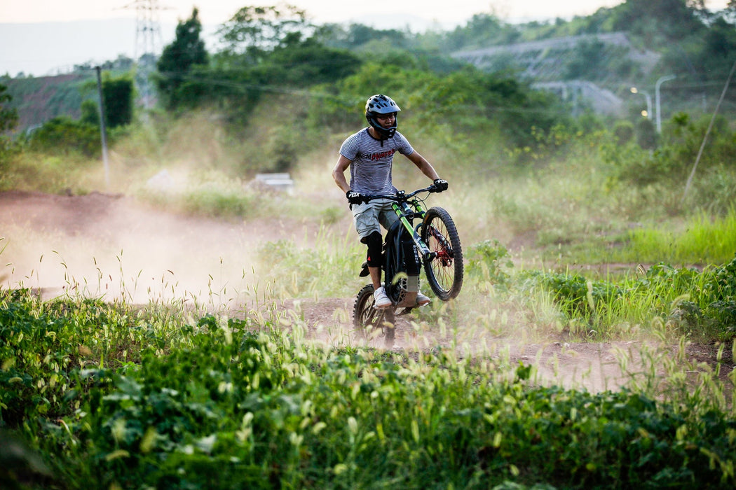 Sur-Ron Light Bee X 2025