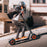 INMOTION Climber official image 5