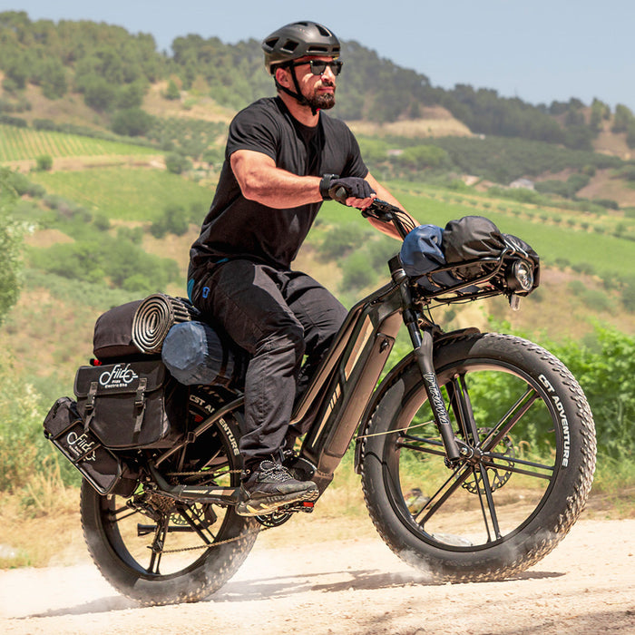 Fiido Titan Fat Tire Touring & Cargo E-Bike — UL-Certified