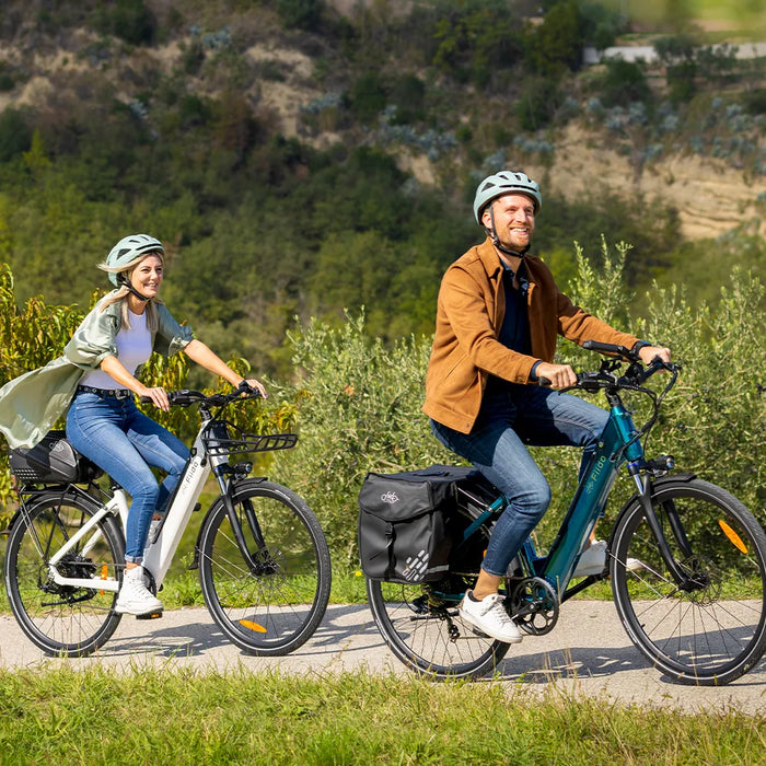 Fiido C11 City E-Bike