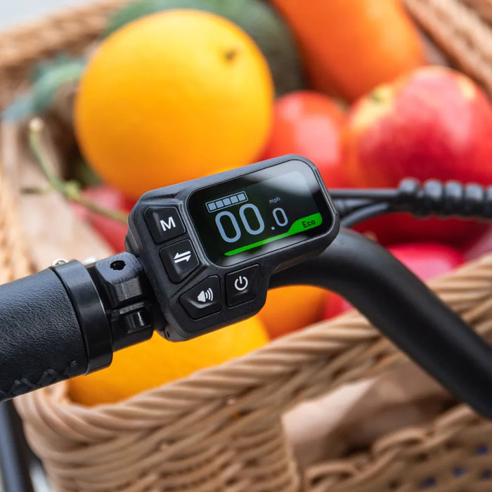Fiido T2 Longtail Cargo E-Bike — 750W, 200kg Payload