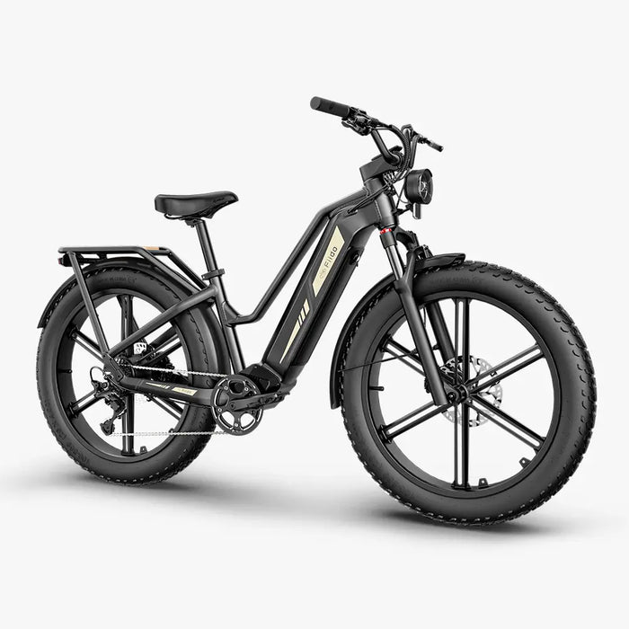 Fiido Titan Fat Tire Touring & Cargo E-Bike — UL-Certified