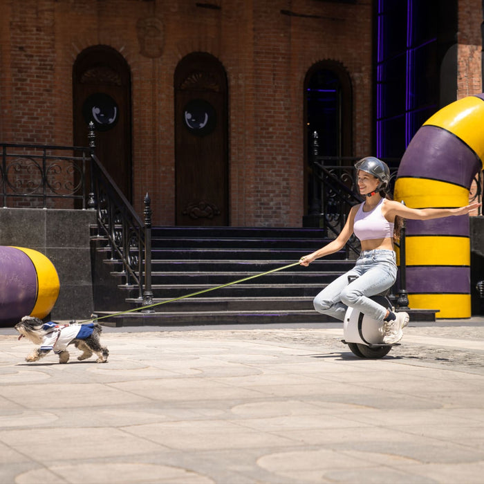 INMOTION E20 dual-wheel electric unicycle — image 4