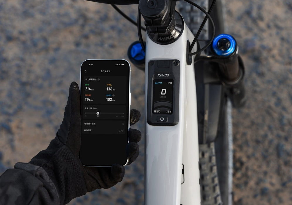 Amflow Avinox display and system management