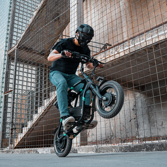 Fiido Q2 Dual-Motor Folding Electric Scooter — 1200W, IP54